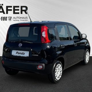 Fiat Panda 4x2 FireFly Hybrid 70 Pop
