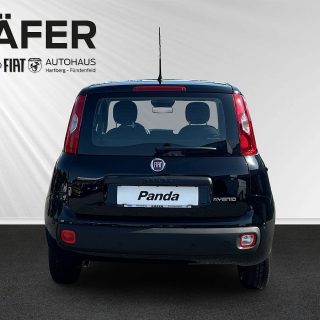 Fiat Panda 4x2 FireFly Hybrid 70 Pop