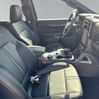 Ford Ranger Doppelkabine Wildtrak e-4WD 3,0 V6 EcoBlue Aut.*Standheizung*TechPaket46*