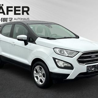 Ford EcoSport 1,0 EcoBoost Cool & Connect