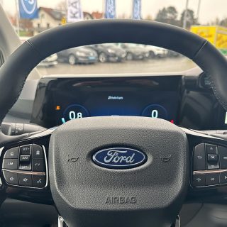 Ford Transit Custom Kasten Doppelkabine 2,0 EcoBlue L2H1 320 Limited Aut.