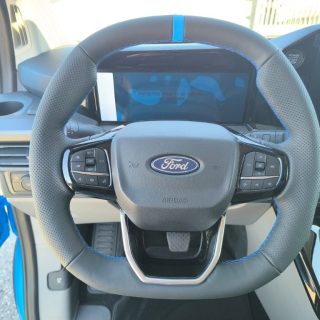 Ford Transit Custom Kasten DK 2,5 PHEV L2H1 320 MS-RT Aut.